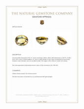 201.37 Ct. Yellow Citrine from Ceylon (Sri Lanka) Appraisal