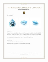 9.34 Ct. Blue Aquamarine from Brazil Appraisal