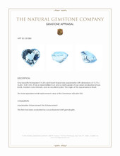 14.28 Ct. Blue Aquamarine from Brazil Appraisal