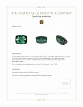 10.14 Ct. Tourmaline from Brazil Appraisal