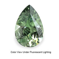 0.75 Ct. Alexandrite from Ceylon (Sri Lanka) Video