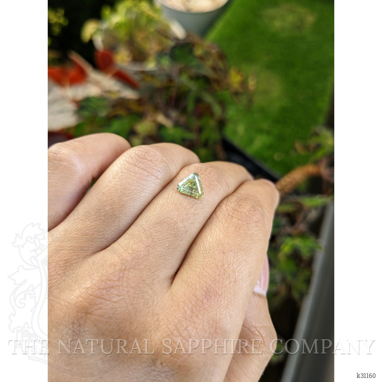 1.66 Ct. Alexandrite from Ceylon (Sri Lanka)