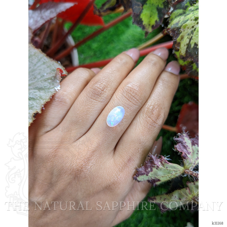 2.55 Ct. Multi Color Cabochon Fire Opal (Flame Opal) from Ethiopia
