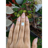 1.91 Ct. Multi Color Cabochon Fire Opal (Flame Opal) from Ethiopia Life Style