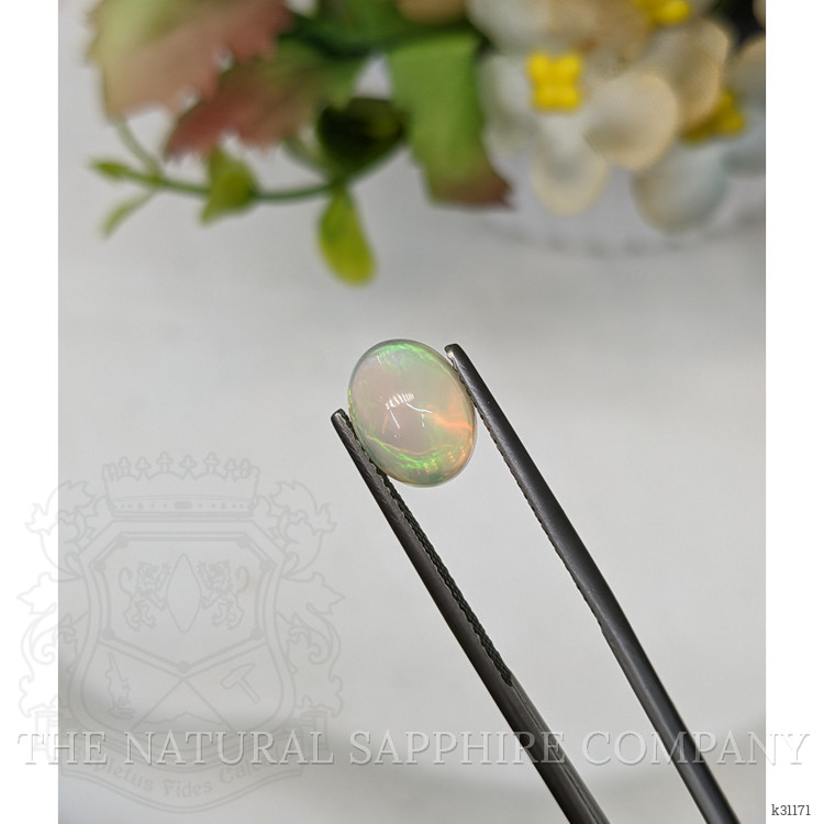1.91 Ct. Multi Color Cabochon Fire Opal (Flame Opal) from Ethiopia