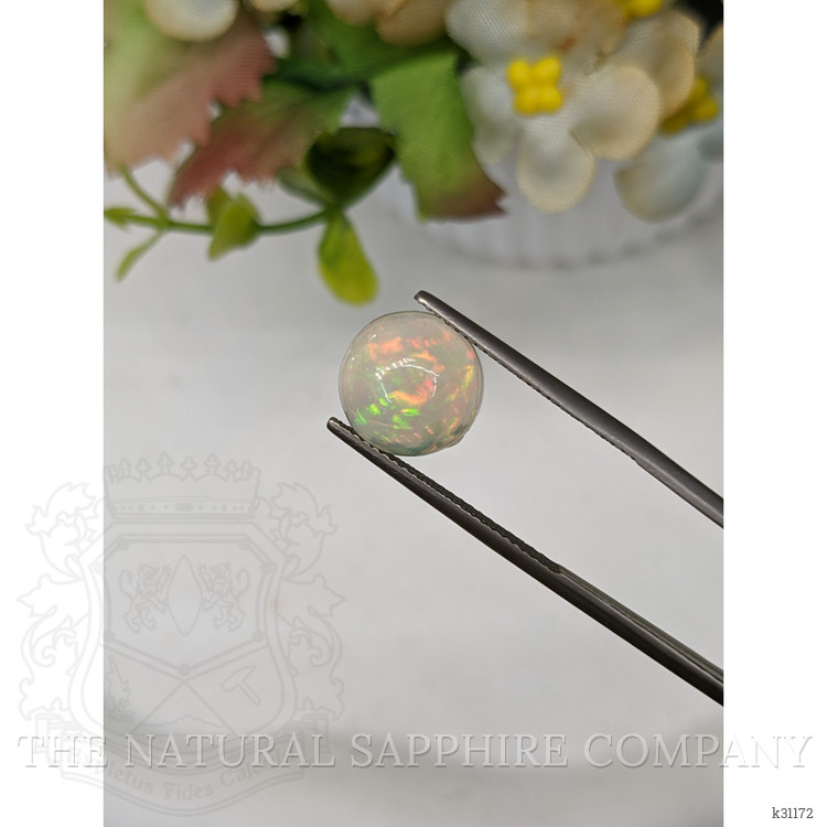 2.87 Ct. Multi Color Cabochon Fire Opal (Flame Opal) from Ethiopia