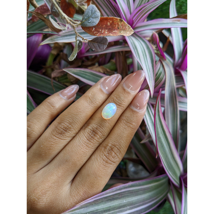 2.51 Ct. Multi Color Cabochon Fire Opal (Flame Opal) from Ethiopia