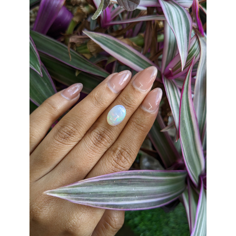 3.19 Ct. Multi Color Cabochon Fire Opal (Flame Opal) from Ethiopia