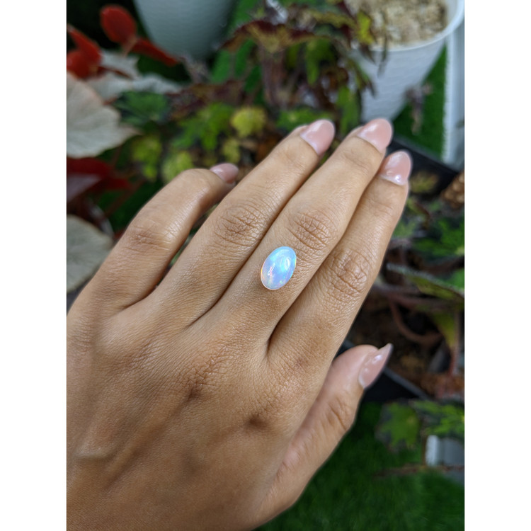 2.21 Ct. Multi Color Cabochon Fire Opal (Flame Opal) from Ethiopia