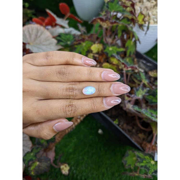 2.21 Ct. Multi Color Cabochon Fire Opal (Flame Opal) from Ethiopia