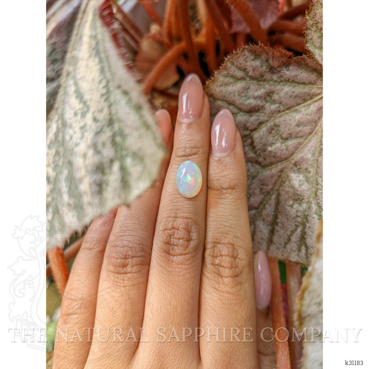2.62 Ct. Multi Color Cabochon Fire Opal (Flame Opal) from Ethiopia