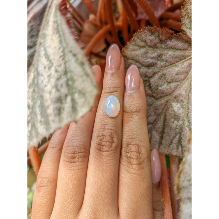 2.62 Ct. Multi Color Cabochon Fire Opal (Flame Opal) from Ethiopia