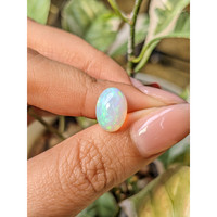 2.62 Ct. Multi Color Cabochon Fire Opal (Flame Opal) from Ethiopia Life Style