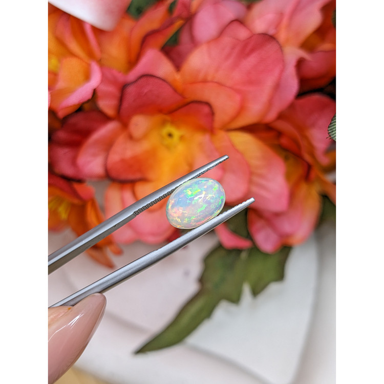 2.62 Ct. Multi Color Cabochon Fire Opal (Flame Opal) from Ethiopia
