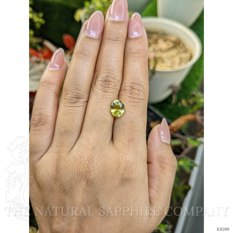 3.21 Ct. Greenish Yellow Chrysoberyl from Ceylon (Sri Lanka)