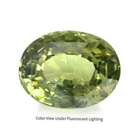 1.09 Ct. Alexandrite from Ceylon (Sri Lanka) Video