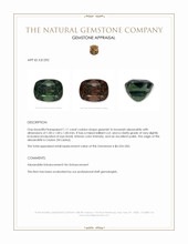 1.11 Ct. Alexandrite from Ceylon (Sri Lanka) Appraisal