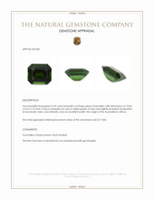 4.29 Ct. Green Tourmaline from Africa Appraisal