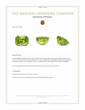 3.88 Ct. Yellowish Green Peridot from Pakistan Appraisal