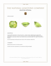1.48 Ct. Yellowish Green Peridot from Pakistan Appraisal