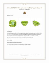 3.21 Ct. Yellowish Green Peridot from Pakistan Appraisal
