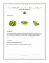 3.07 Ct. Yellowish Green Peridot from Pakistan Appraisal