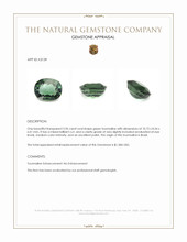 3.96 Ct. Green Tourmaline from Brazil Appraisal