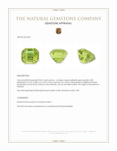 0.87 Ct. Yellowish Green Peridot from Pakistan Appraisal
