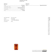 5.16 Ct. Orange Spessartite Garnet from Tanzania Scan Report