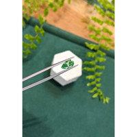 1.91 Ct. Tsavorite Garnet from Tanzania Life Style