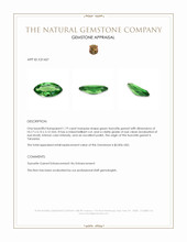 1.19 Ct. Tsavorite Garnet from Tanzania Appraisal