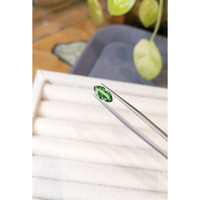 1.19 Ct. Tsavorite Garnet from Tanzania Life Style