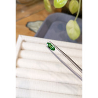 0.96 Ct. Tsavorite Garnet from Tanzania Life Style