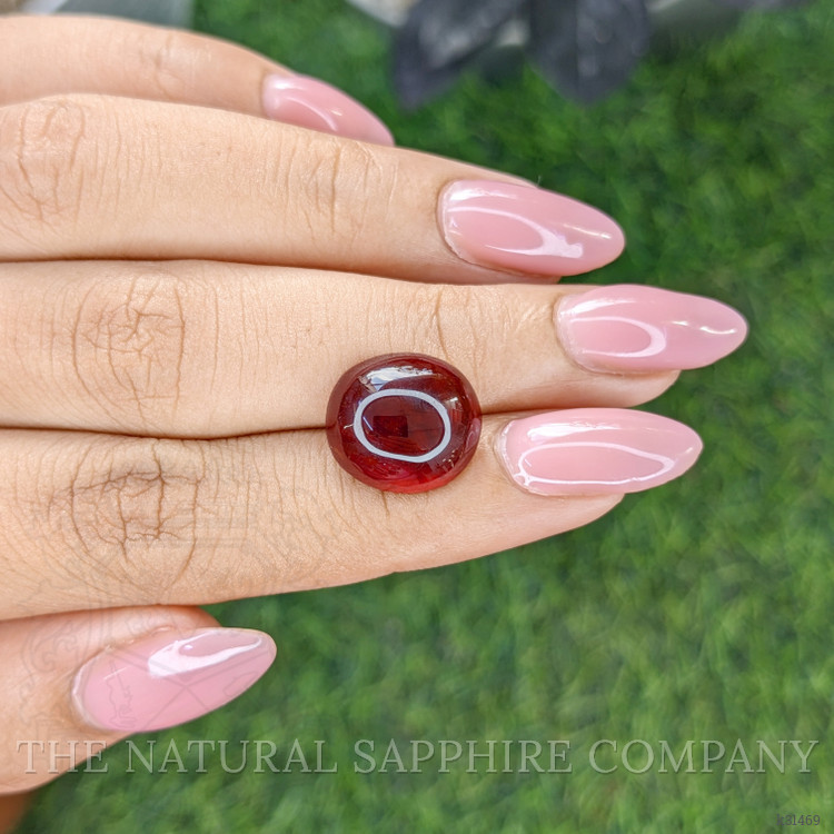 10.37 Ct. Reddish Brown Cabochon Garnet from South Africa