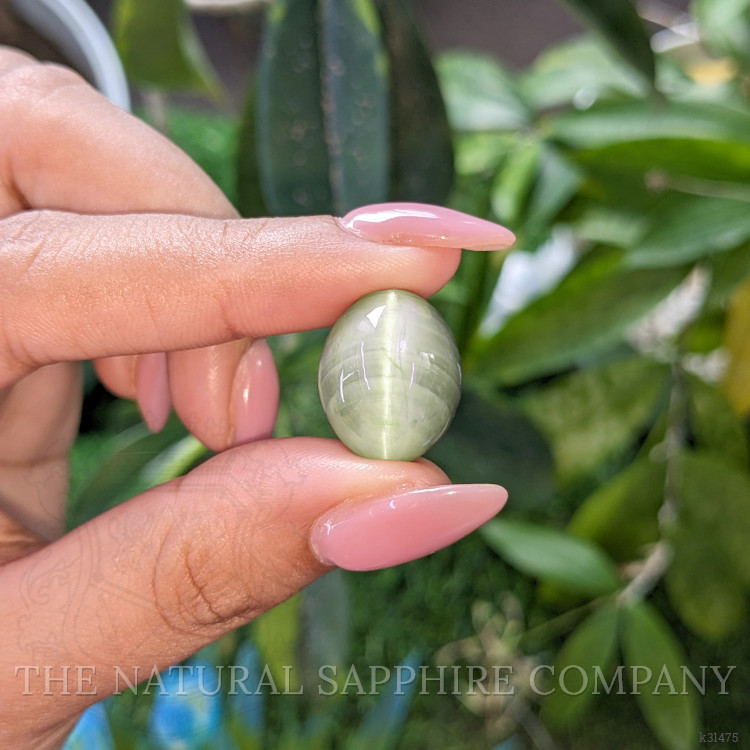27.74 Ct. Green Cabochon Chrysoberyl from Ceylon (Sri Lanka)