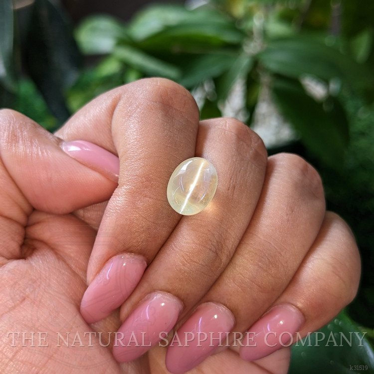 7.18 Ct. Yellowish Green Cabochon Chrysoberyl from Ceylon (Sri Lanka)