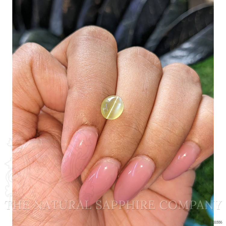 1.88 Ct. Yellowish Green Cabochon Chrysoberyl from Tanzania