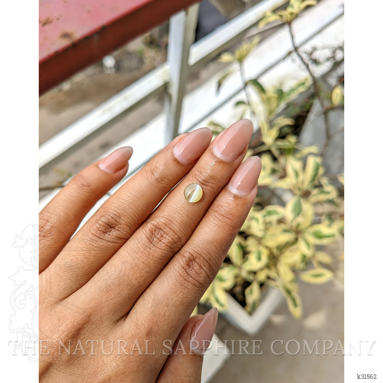 1.11 Ct. Greenish Yellow Cabochon Chrysoberyl from Ceylon (Sri Lanka)
