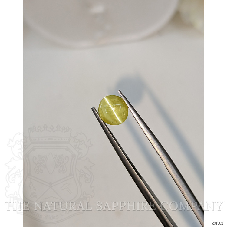 1.11 Ct. Greenish Yellow Cabochon Chrysoberyl from Ceylon (Sri Lanka)