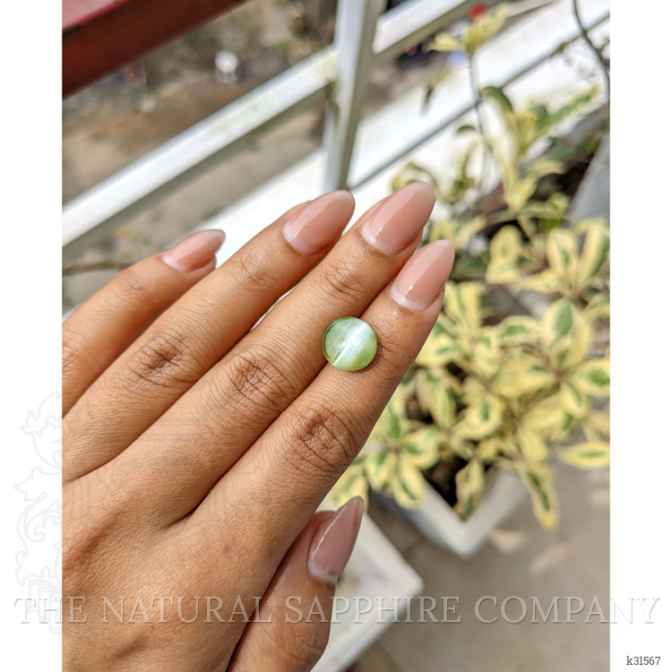 6.87 Ct. Brownish Green Cabochon Chrysoberyl from Ceylon (Sri Lanka)