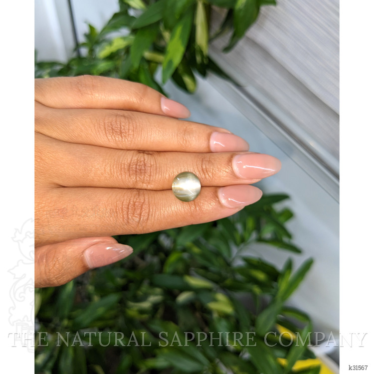 6.87 Ct. Brownish Green Cabochon Chrysoberyl from Ceylon (Sri Lanka)