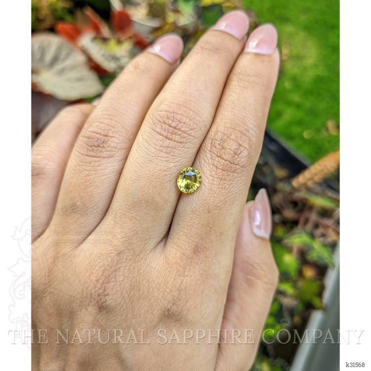 1.57 Ct. Greenish Yellow Chrysoberyl from Ceylon (Sri Lanka)