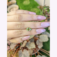 2.14 Ct. Yellowish Green Chrysoberyl from Ceylon (Sri Lanka) Life Style