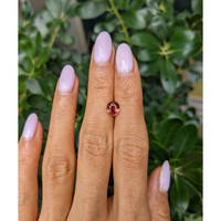 1.28 Ct. Red Garnet from Ceylon (Sri Lanka) Life Style