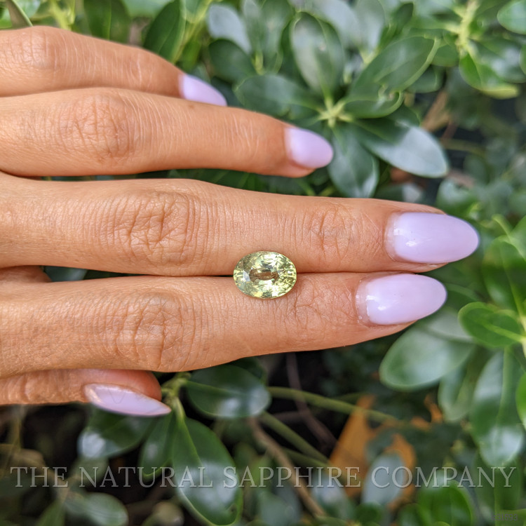 4.00 Ct. Yellowish Green Chrysoberyl from Ceylon (Sri Lanka)