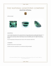 10.63 Ct. Bluish Green Prasiolite from Brazil Appraisal