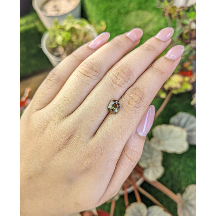 1.61 Ct. Bi Color Andalusite from Brazil