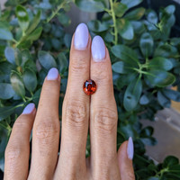 3.93 Ct. Orange Spessartite Garnet from Brazil Life Style