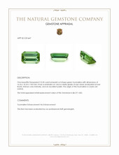 10.50 Ct. Green Tourmaline from Ceylon (Sri Lanka) Appraisal
