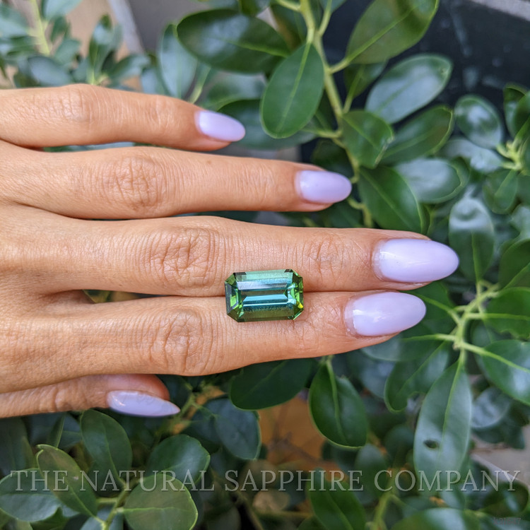 10.50 Ct. Green Tourmaline from Ceylon (Sri Lanka)